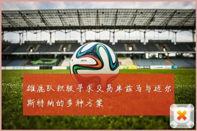 雄鹿队积极寻求交易库兹马与迈尔斯特纳的多种方案