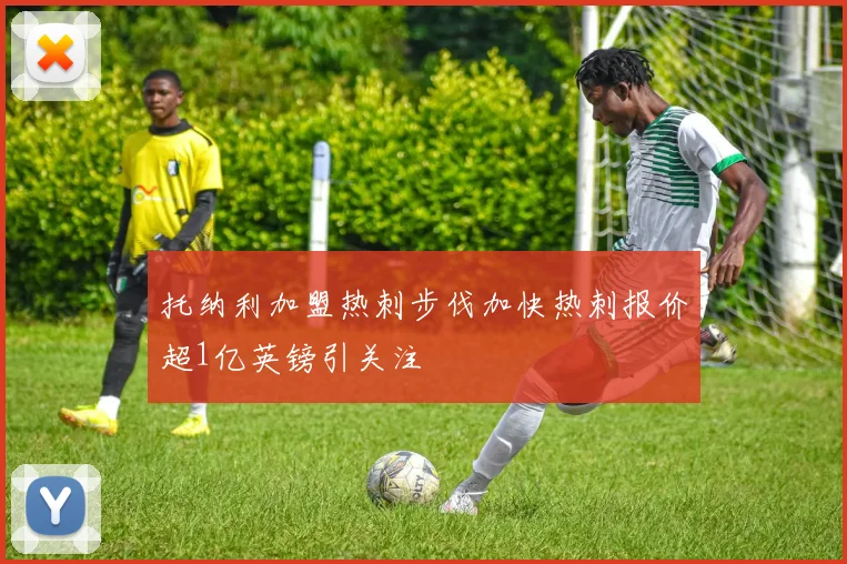托纳利加盟热刺步伐加快热刺报价超1亿英镑引关注